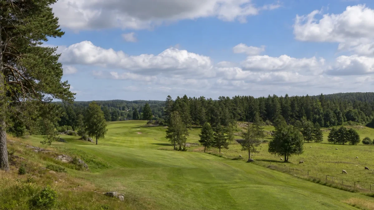 Fairway med nedklippt ruff, gallrad skog och hagar på Åkersberga Golfklubb
