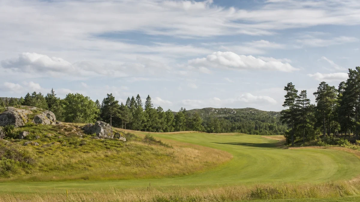 Slice i golf: varför bollen skruvar höger illustrerad med golfmotiv