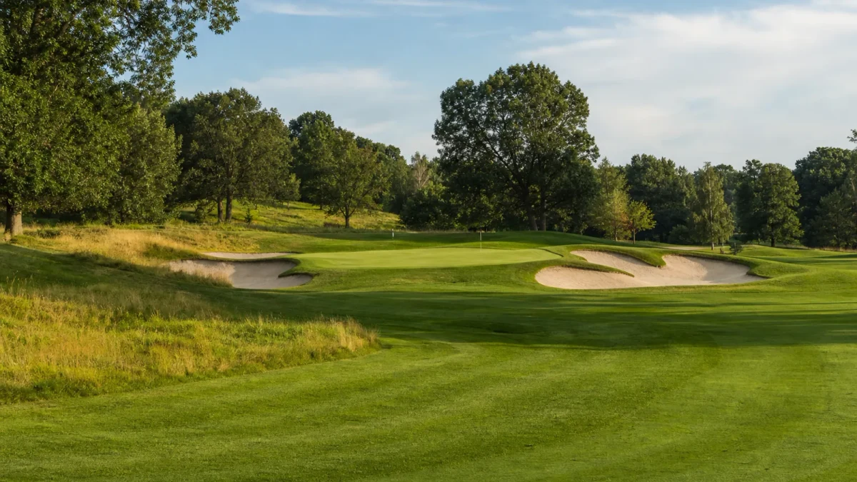 Golfbana med green, flagga och träd i mjukt dagsljus